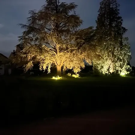 Bed & Breakfast Chateau Camus Montmarault
