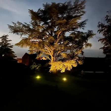 Chateau Camus Bed & Breakfast Montmarault