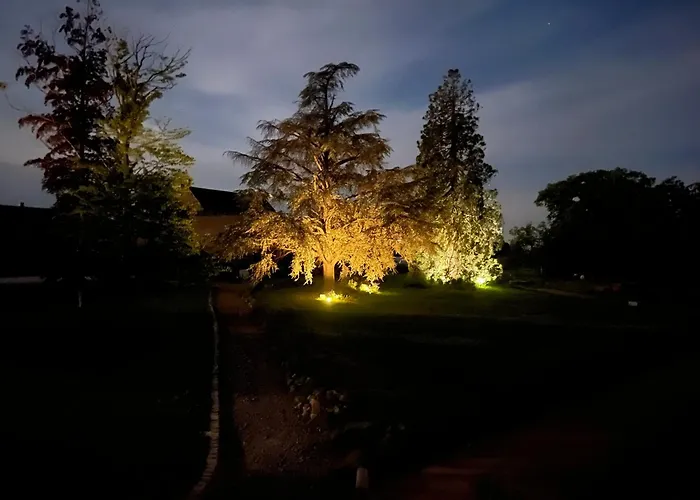 Chateau Camus Монмаро